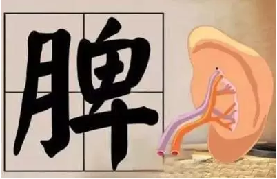 1627001528788079412.png