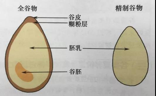 微信图片_20210728082404.jpg