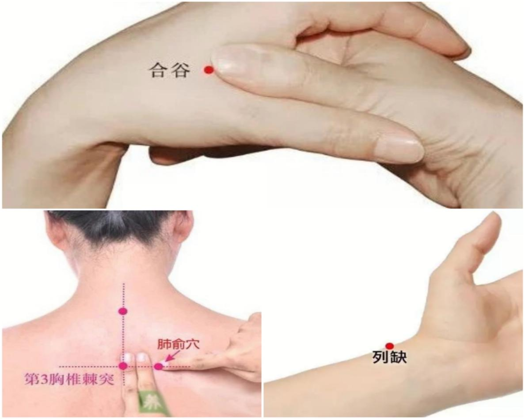 微信图片_20221011162405.png