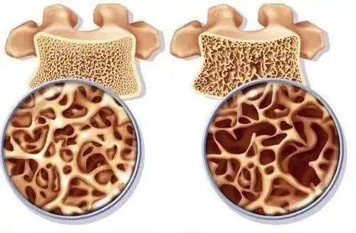 1618821613728077688.jpg 1.jpg