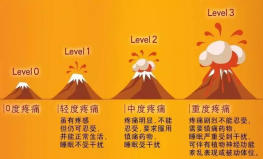 1618908551802004909.png 1.png