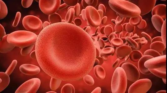 1620288752411085763.jpg 微信图片_20210506161130.jpg