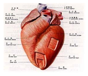 1622157501293010948.png 微信图片_20210528071830.png