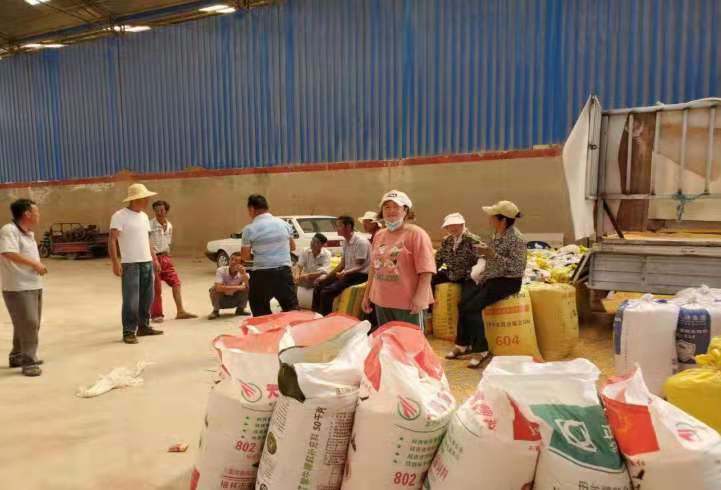 1629446853347086859.jpg 1.jpg