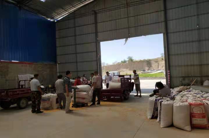 1629446897754071910.jpg 2.jpg