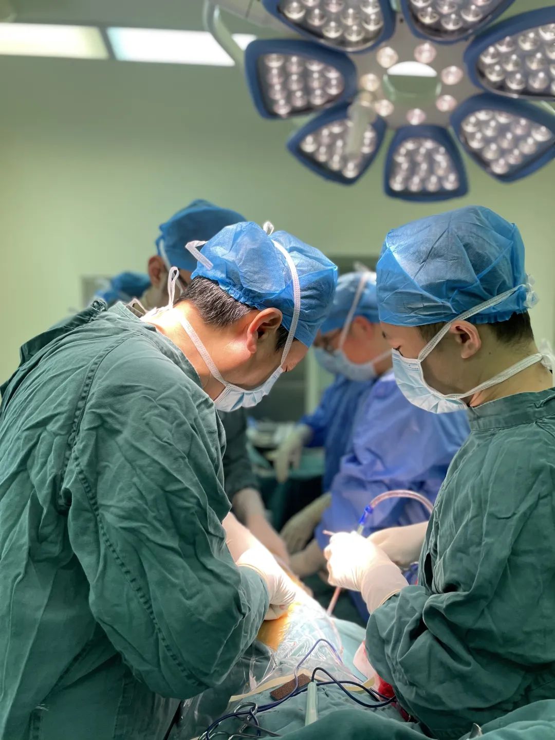 1640923314833023526.jpg 2.jpg