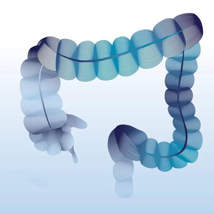 1645080683423023384.jpg 1645080683423023384.jpg