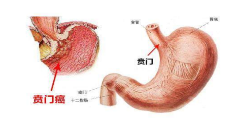 1646030085379024945.png 微信图片_20220228144213.png