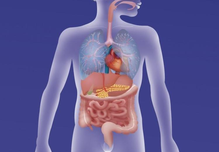 1650783168115013661.png 1650783168115013661.png