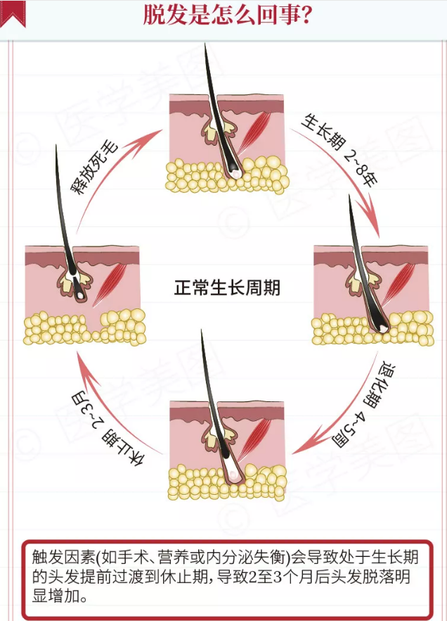 1654821852007078787.png 1654821852007078787.png