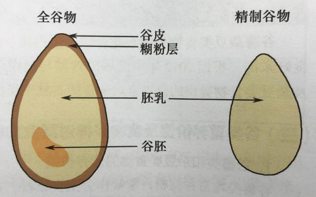 1657155304524027815.png 1657155304524027815.png