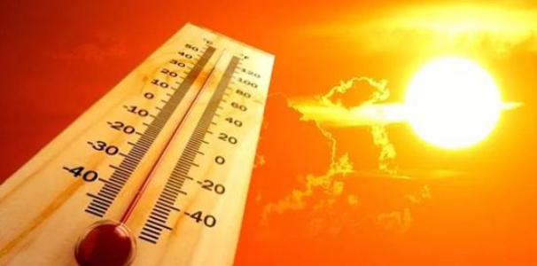 1657875209944077858.png 1657875209944077858.png