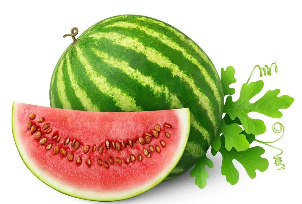 1658279619019014484.jpg 1658279619019014484.jpg