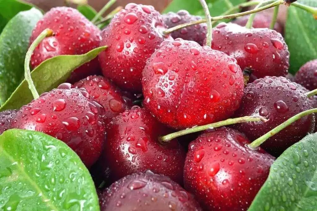 1658279642660024298.jpg 1658279642660024298.jpg