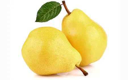 1658279707363023363.jpg 1658279707363023363.jpg