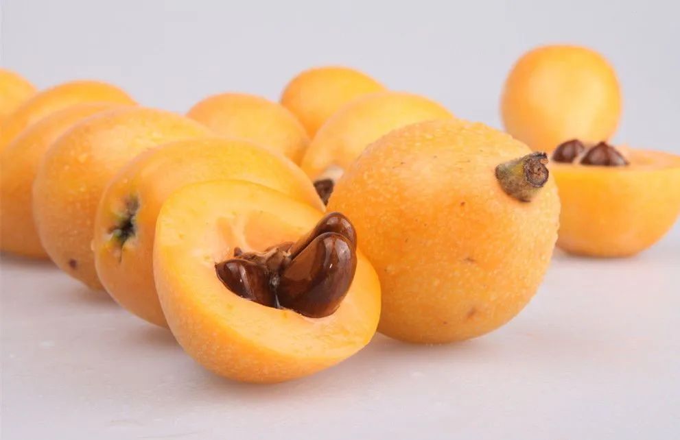 1658279776613067318.jpg 1658279776613067318.jpg