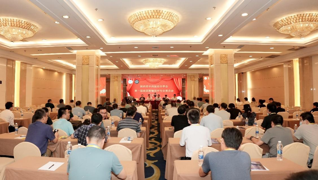 1661218688868070448.png 1661218688868070448.png