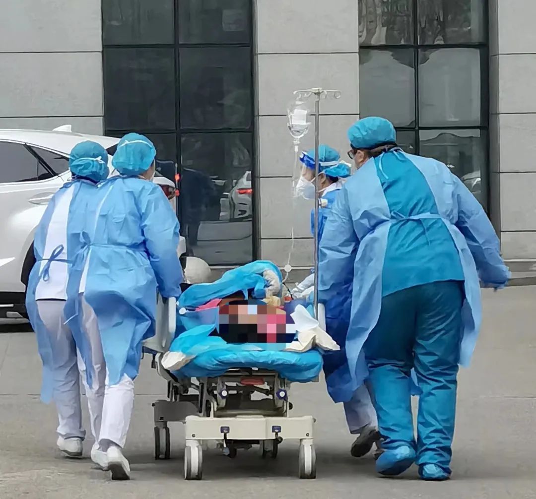 1673065089134043643.jpg 1673065089134043643.jpg