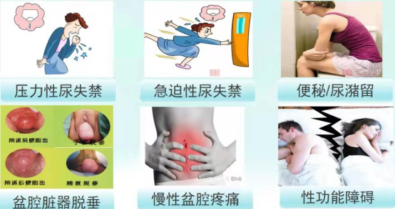 1678173337148064160.png 1678173337148064160.png