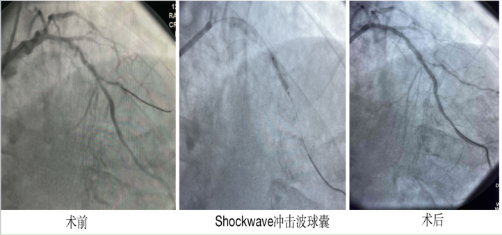 1678319068235056892.png 1678319068235056892.png