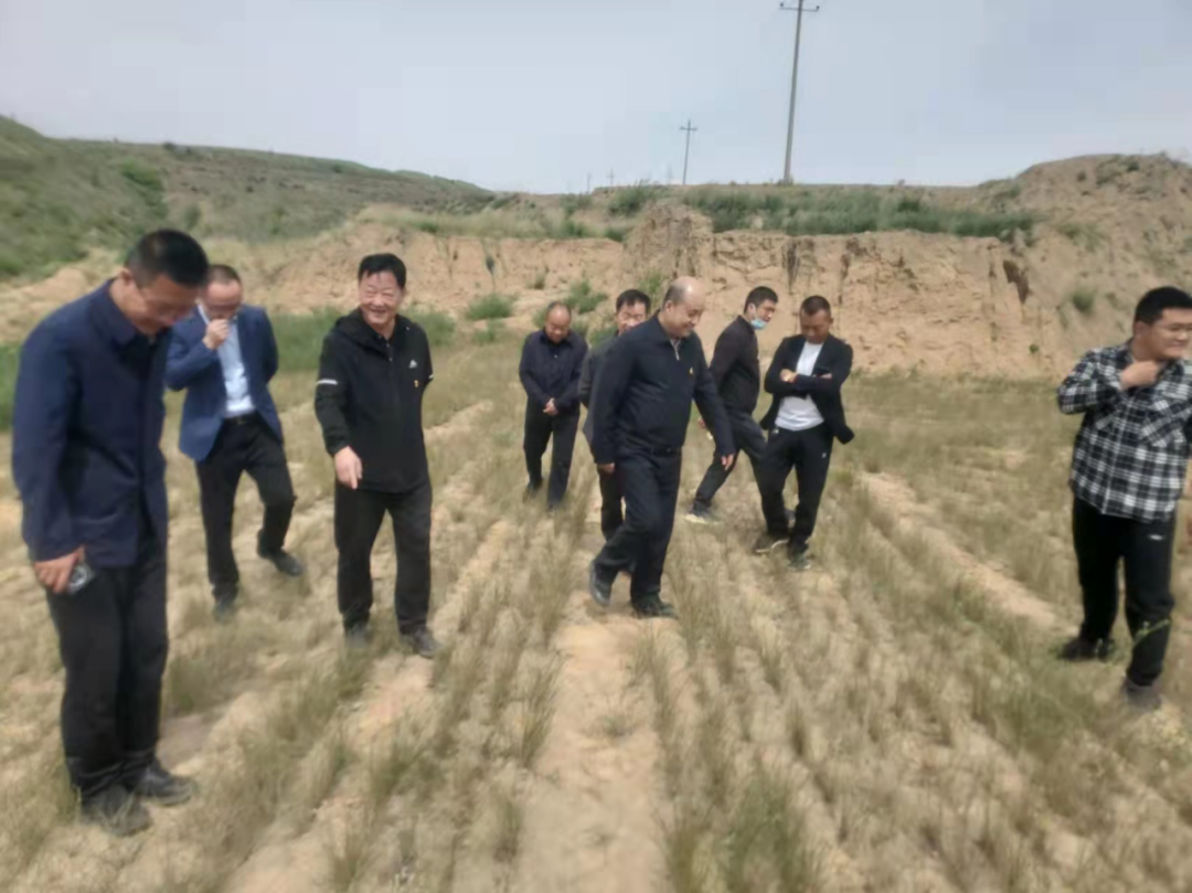 1685346263725081475.png 1685346263725081475.png