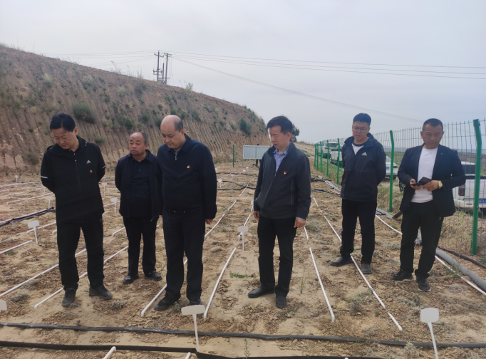 1685346296506084380.png 1685346296506084380.png