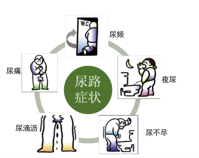 1688943886387011396.png 640.png