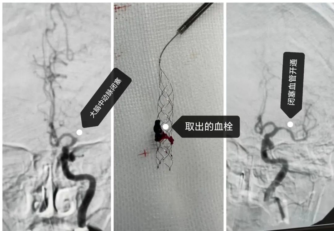 1689750019756008779.jpg 1689750019756008779.jpg