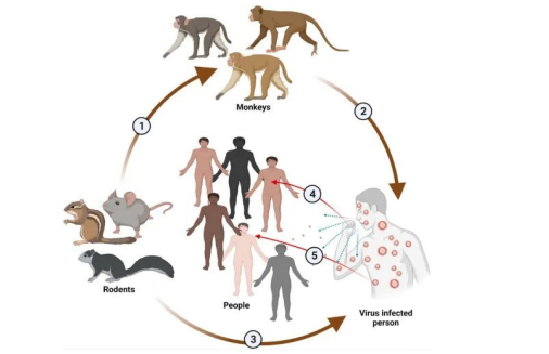 1691773121475098123.png 640 (4).png