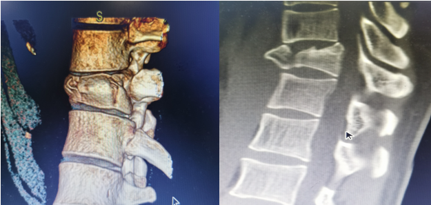 1700709987120048293.png 1700709987120048293.png