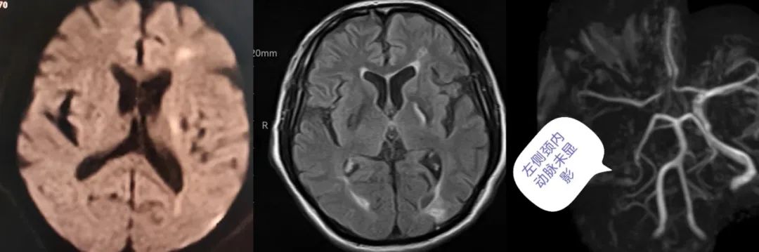 1704589768379033012.jpg 1704589768379033012.jpg