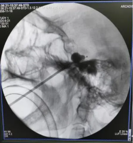 1719301416934044037.png 1719301416934044037.png