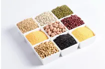 640 (1).webp (28).png