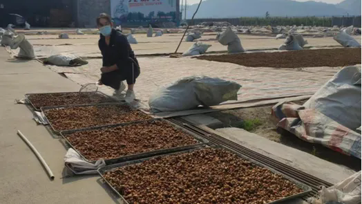 1719971020012025434.png 640 (1).webp (44).png