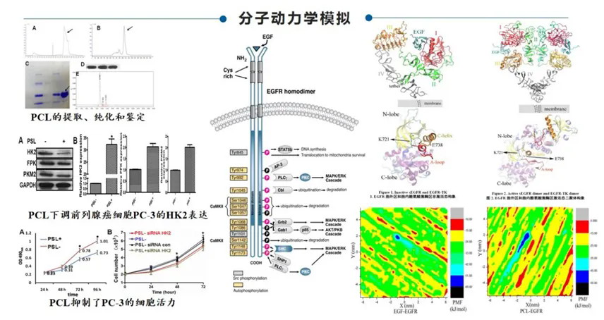 1722846628895030930.png 1722846628895030930.png