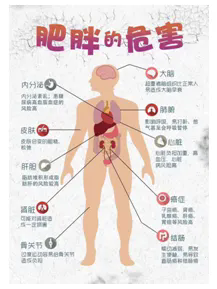 640 (1).webp (1).png