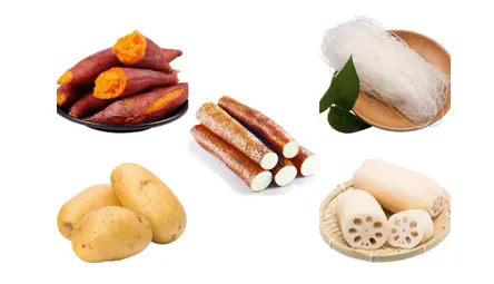 640 (1).webp (12).png