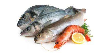 640 (1).webp (13).png