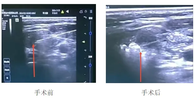 640 (2).webp (1).png