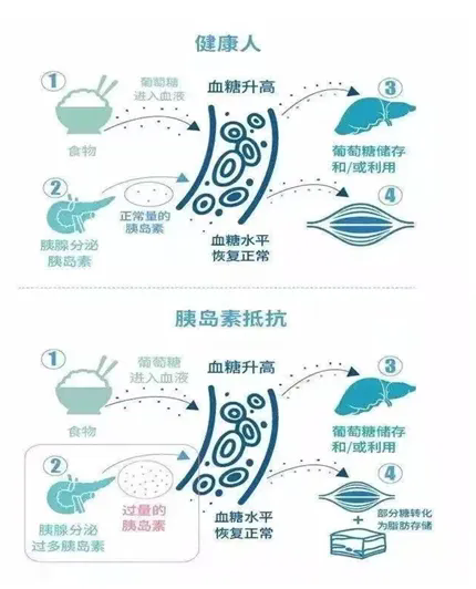 640 (1).webp (6).png