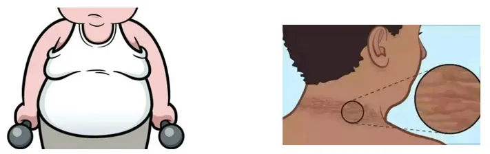 640 (1).webp (7).png