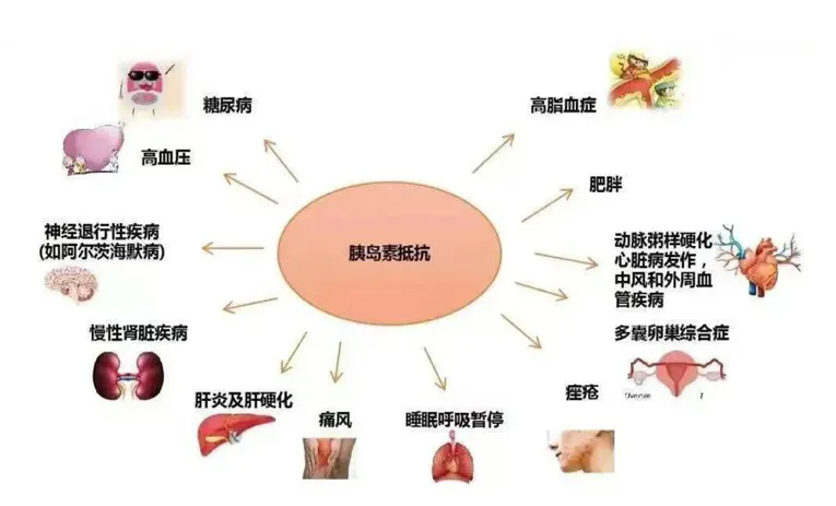 640 (1).webp (8).png