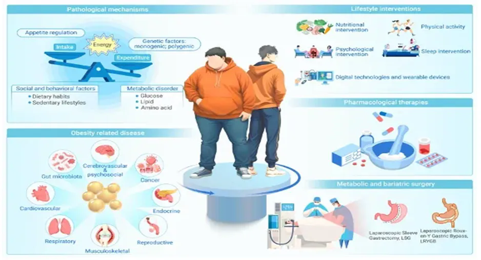 1735528539638061356.png 1735528539638061356.png