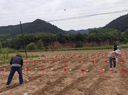 1736231497402063790.png 1736231497402063790.png