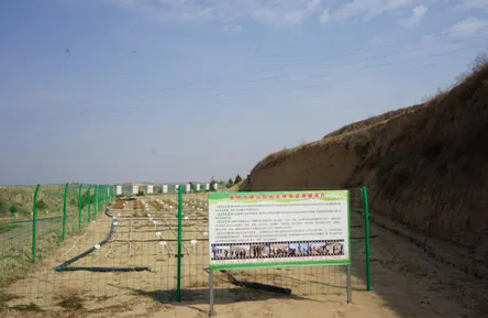 1736231509121082421.png 1736231509121082421.png