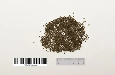 1736231520746019867.png 1736231520746019867.png