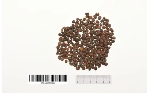 1736231531559010237.png 1736231531559010237.png