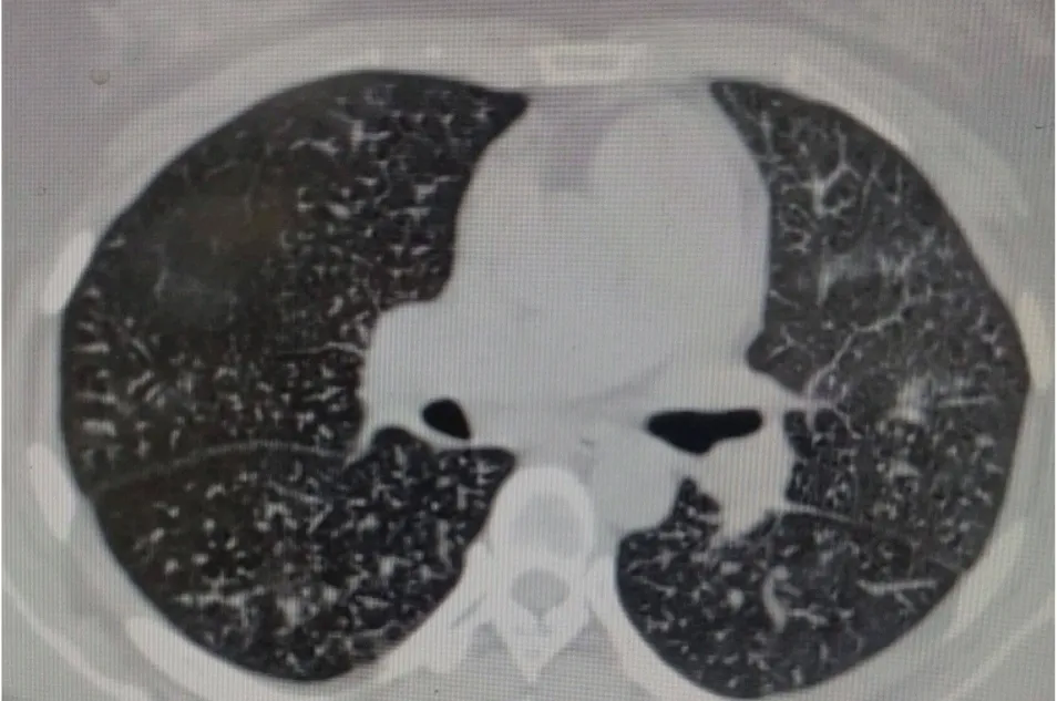 1738660798665005081.png 1738660798665005081.png