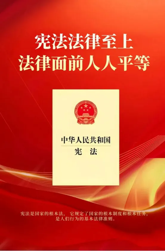 1764917170392001549.png 8b6525383760e229629d25ae60668855.png